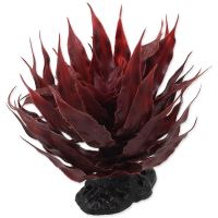 Rostlina REPTI PLANET sukulent Agave červená 18cm Rostlina REPTI PLANET sukulent Agave červená 18cm