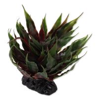 Rostlina REPTI PLANET sukulent Agave zelená 18cm Rostlina REPTI PLANET sukulent Agave zelená 18cm