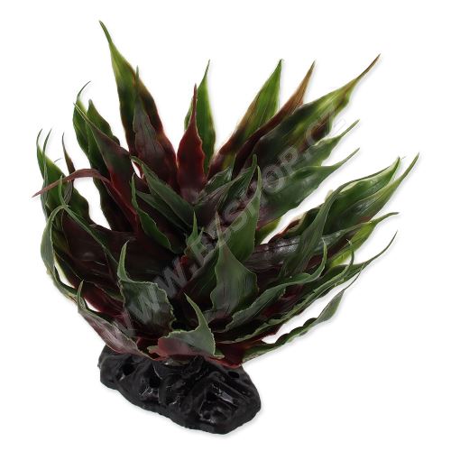 Rostlina REPTI PLANET sukulent Agave zelená 18cm