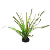 Rostlina REPTI PLANET travina Spartina 30cm Rostlina REPTI PLANET travina Spartina 30cm