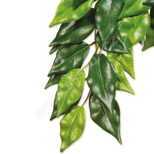 Rostlina EXO TERRA Ficus malá 45cm (216867673)