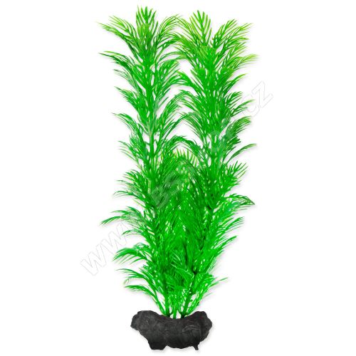 Rostlina TETRA Green Cabomba M