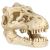 Dekorace zvířecí lebka 8-11cm TRIXIE