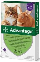 Advantage 80 10% 4x0,8ml pro kočky a králíky nad 4kg